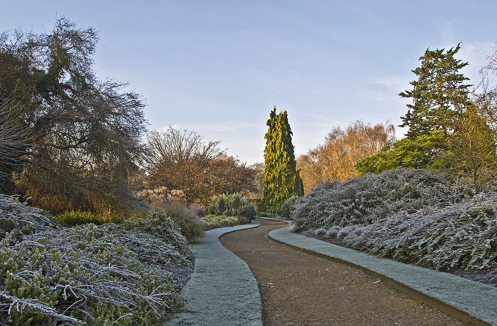 Jardin botanique de l’Université de Cambridge 2 Botanischer Garten