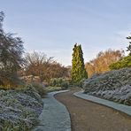 Jardin botanique de l’Université de Cambridge 2  -- Botanischer Garten der Cambridge Universität