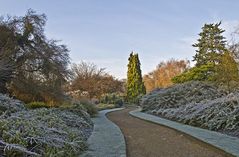 Jardin botanique de l’Université de Cambridge 2  -- Botanischer Garten der Cambridge Universität