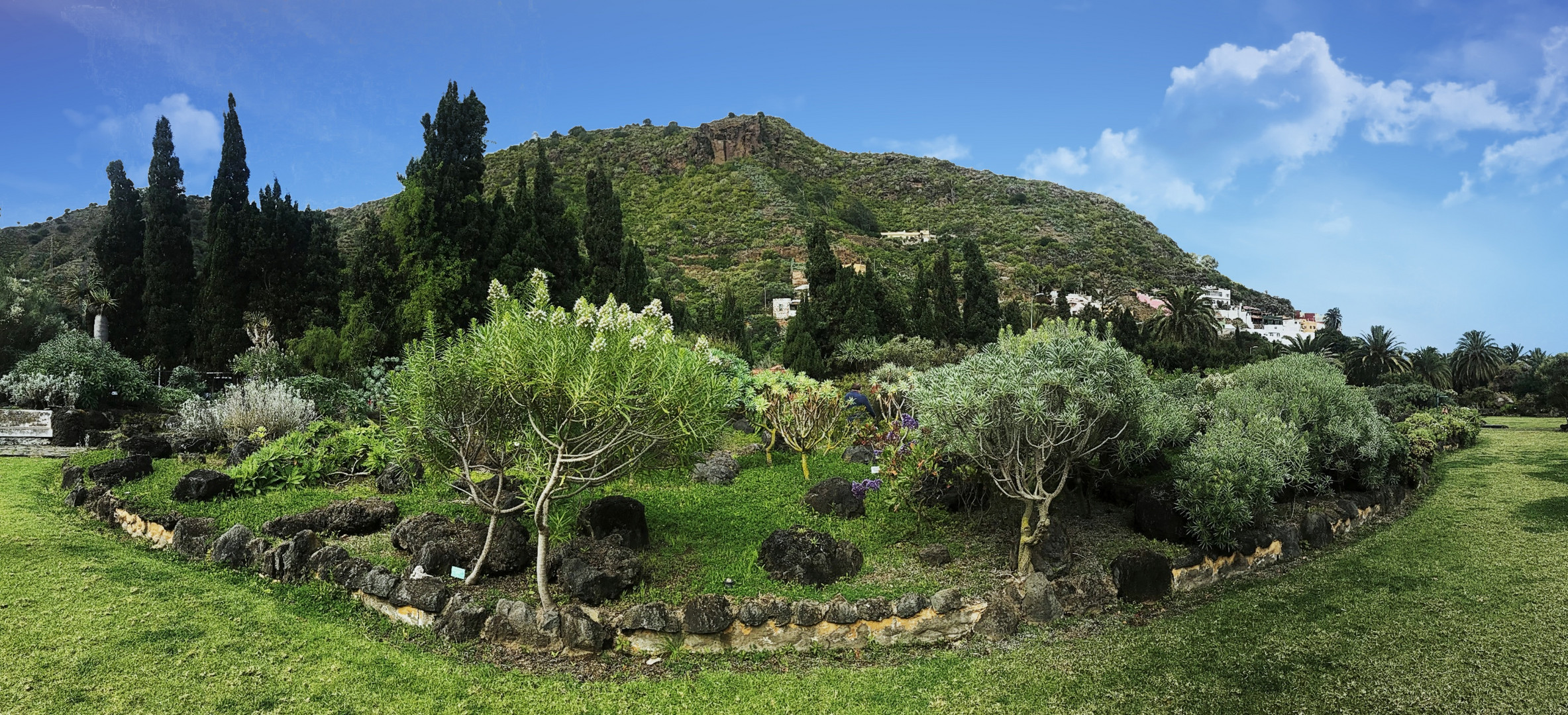 jardin botanique de Tafira (2)