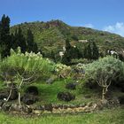 jardin botanique de Tafira (2)