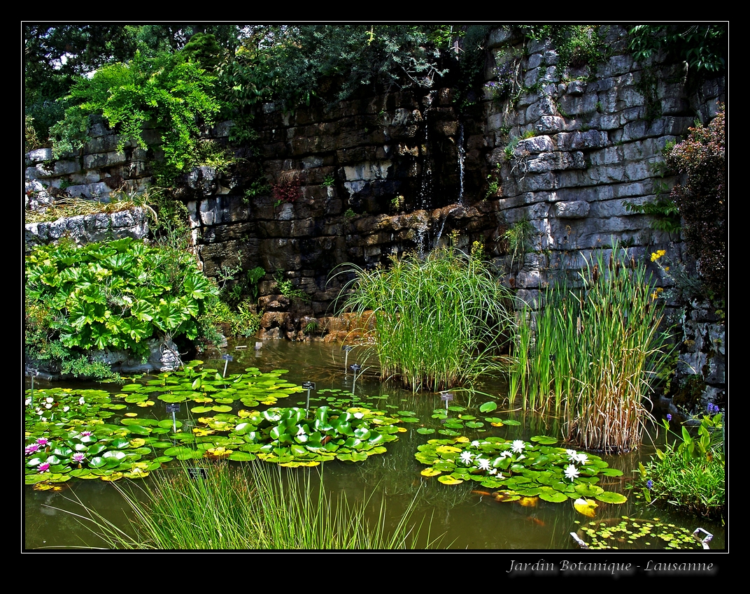 Jardin Botanique