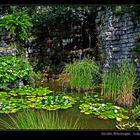 Jardin Botanique