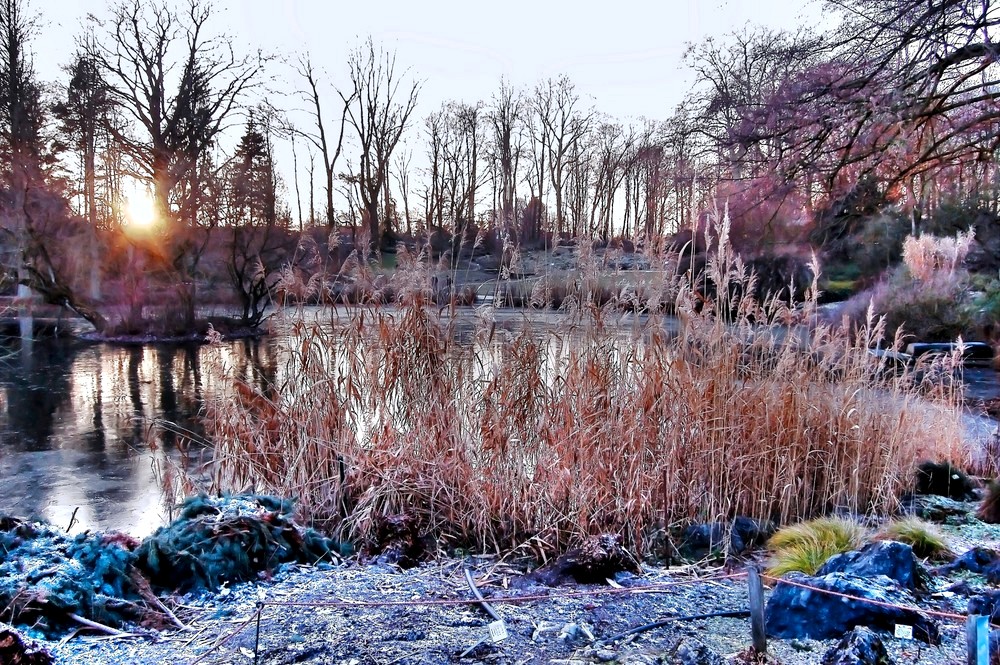 jardin botanique ,muenster