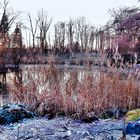 jardin botanique ,muenster