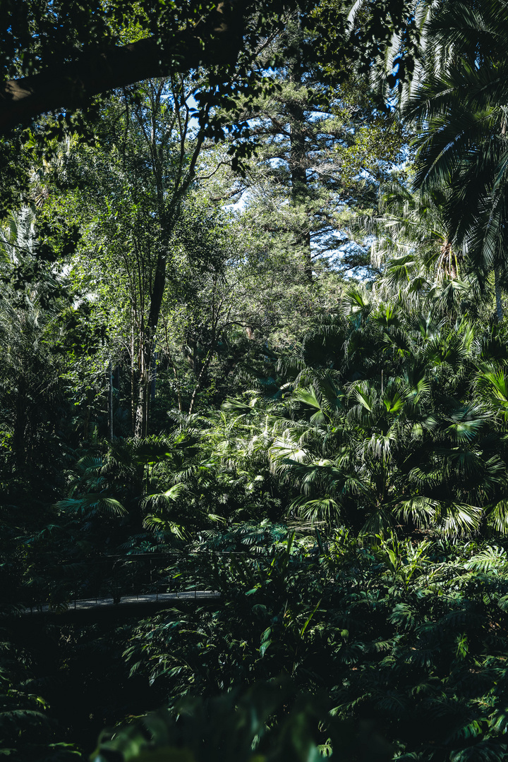 JARDIN BOTÁNICO