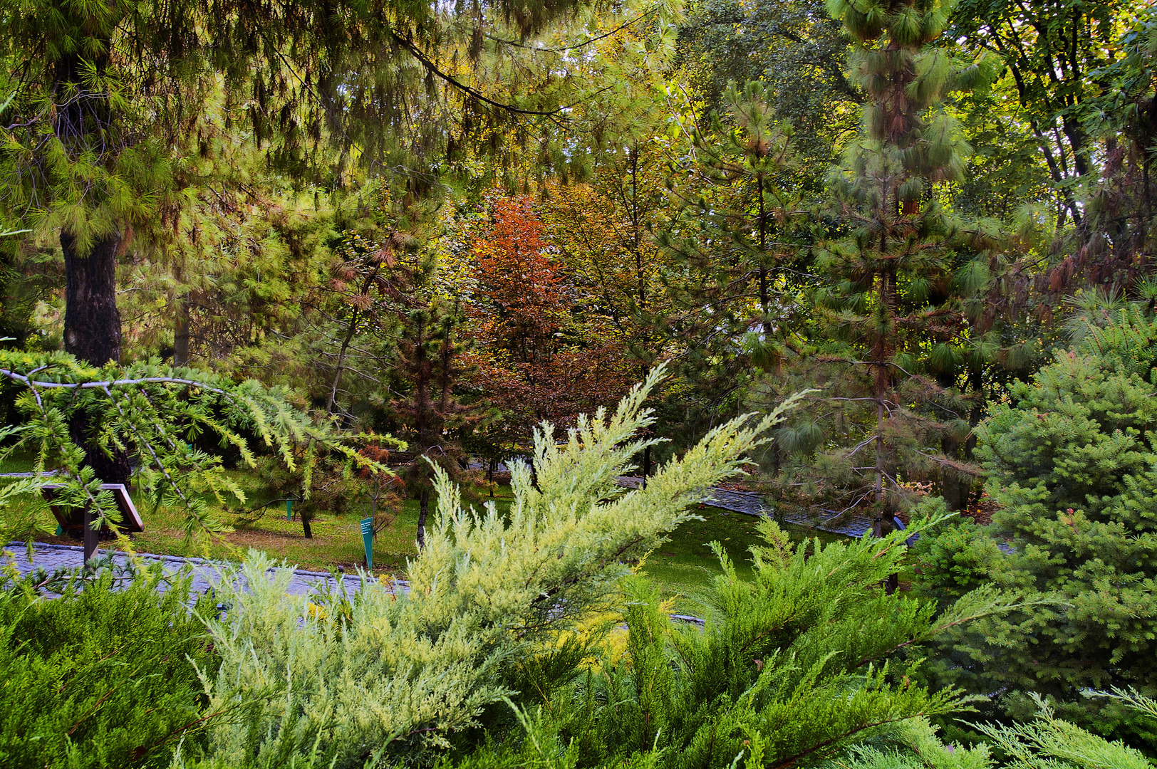 JARDIN BOTÁNICO DE CÓRDOBA