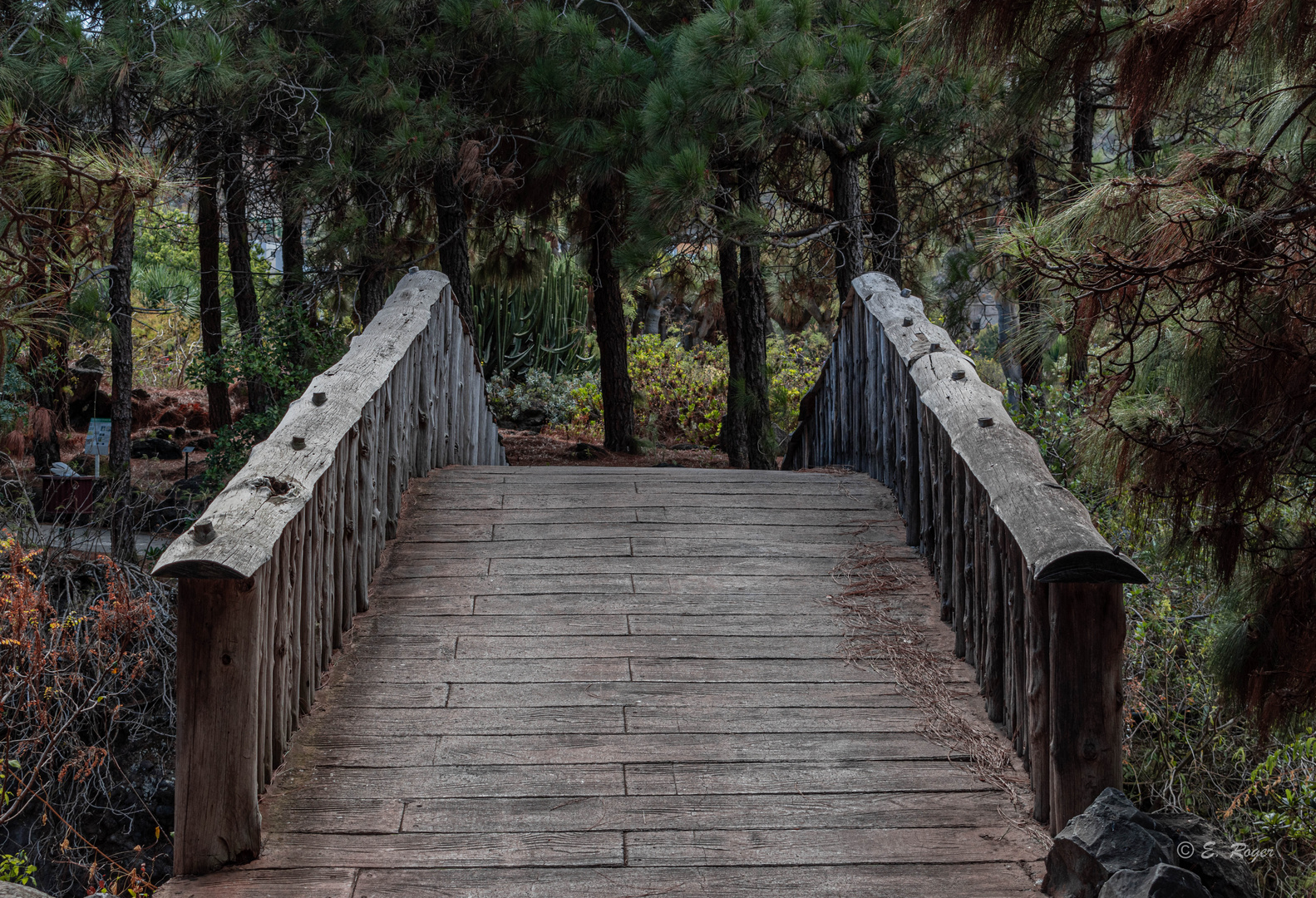 Jardín Canario - Gran Canaria