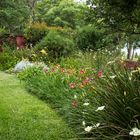 Jardín con Hemerocallis