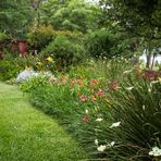 Jardín con Hemerocallis