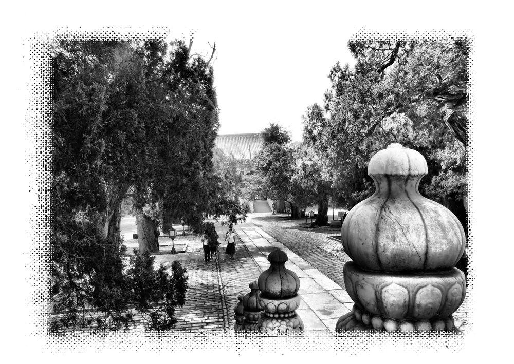 Jardin d'Asie. 4