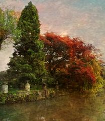 ____ JARDIN D'AUTOMNE____