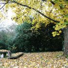 jardin d'automne