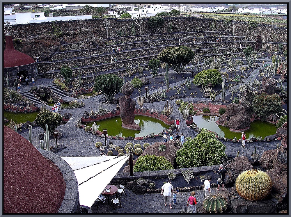 Jardin de Cactus