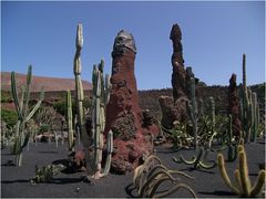 Jardin De Cactus 2 - Lanzarote