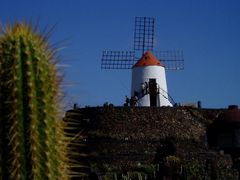 Jardín de Cactus