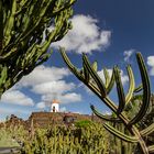 Jardín de Cactus