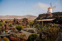 Jardin de Cactus