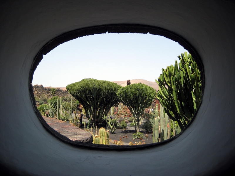 Jardin de Cactus auf Lanzarote