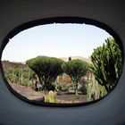 Jardin de Cactus auf Lanzarote