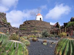 Jardin de Cactus