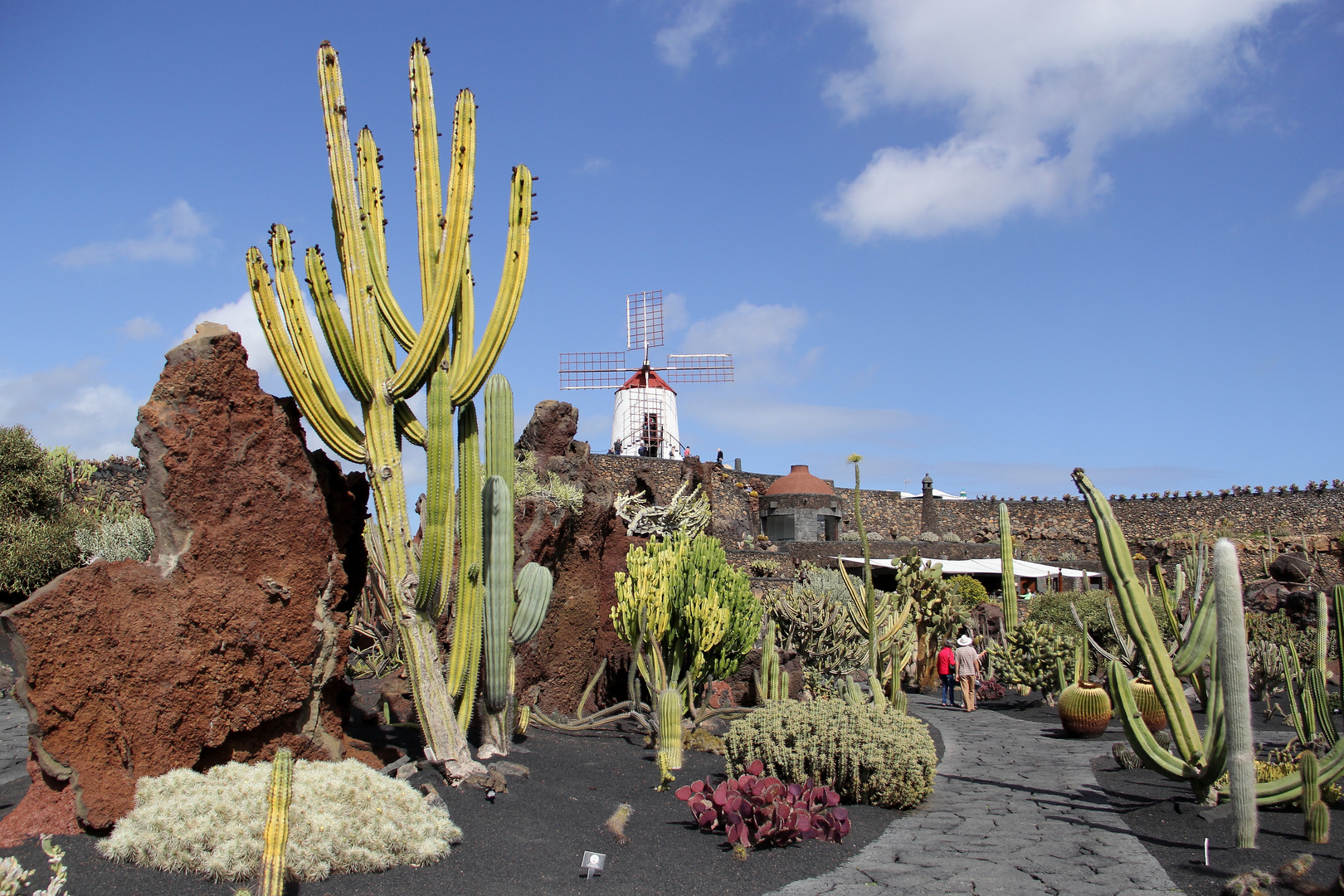 Jardín de Cactus