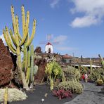 Jardín de Cactus