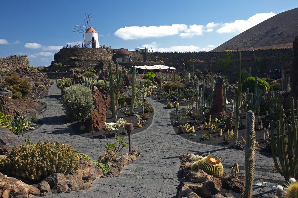 Jardin de Cactus