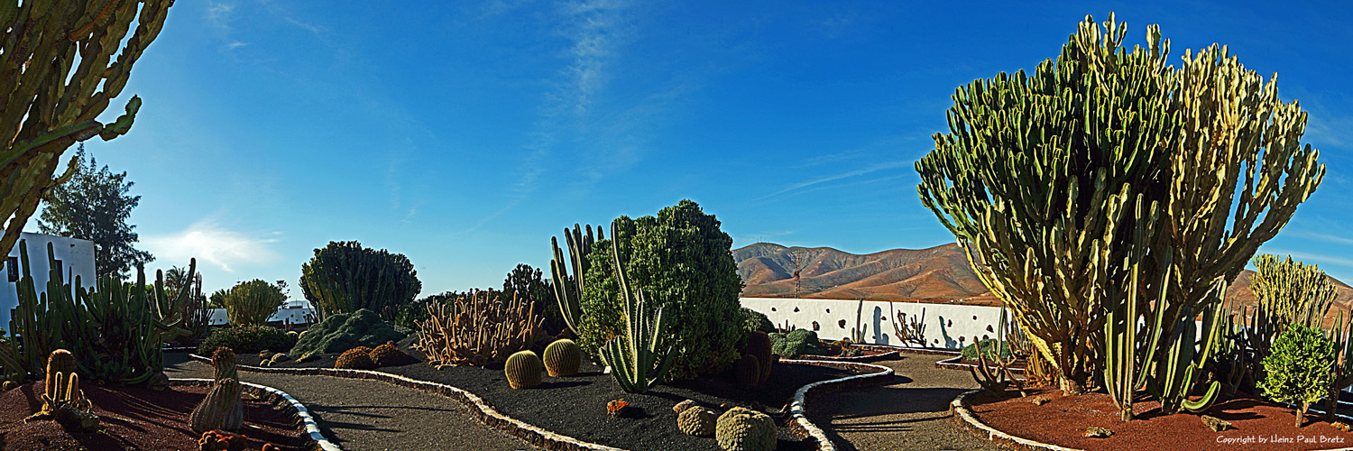 Jardín de Cactus en el Museo del Molino de Antigua