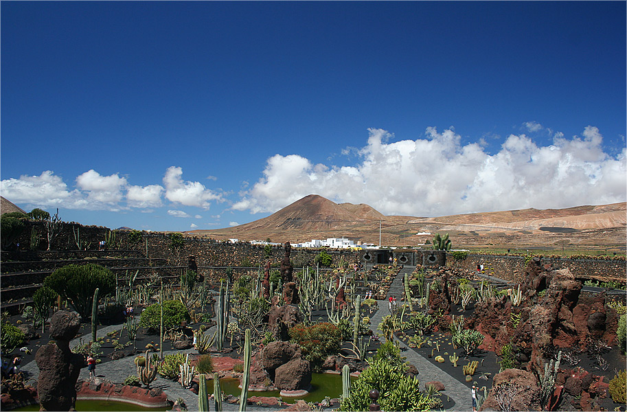 Jardín de Cactus