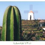 | | Jardín de Cactus | | Guatiza | | #1