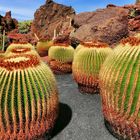 Jardín de Cactus  -  Kakteengarten