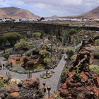 Jardin de cactus, Kaktusgarten  - Lanzarote