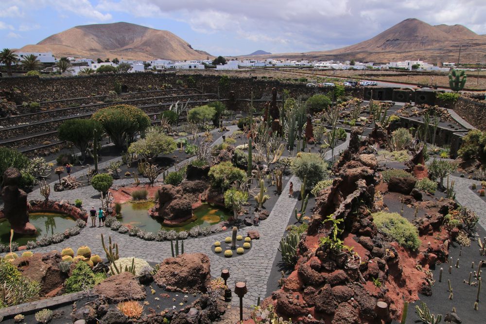 Jardin de cactus, Kaktusgarten  - Lanzarote