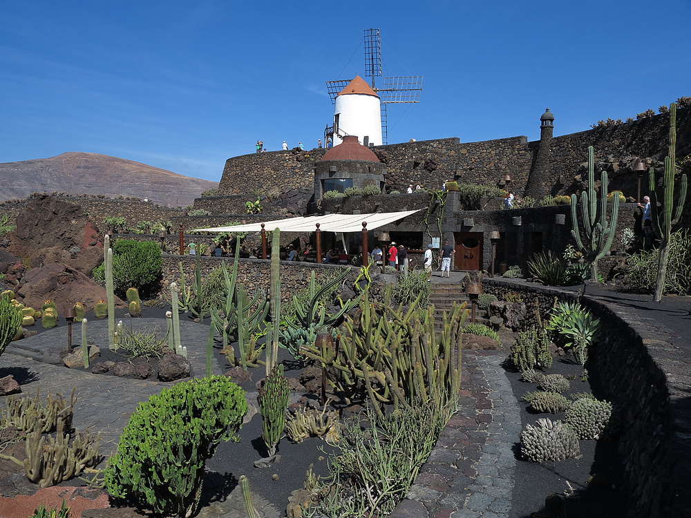 Jardin de Cactus / Lanzarote