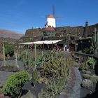 Jardin de Cactus / Lanzarote