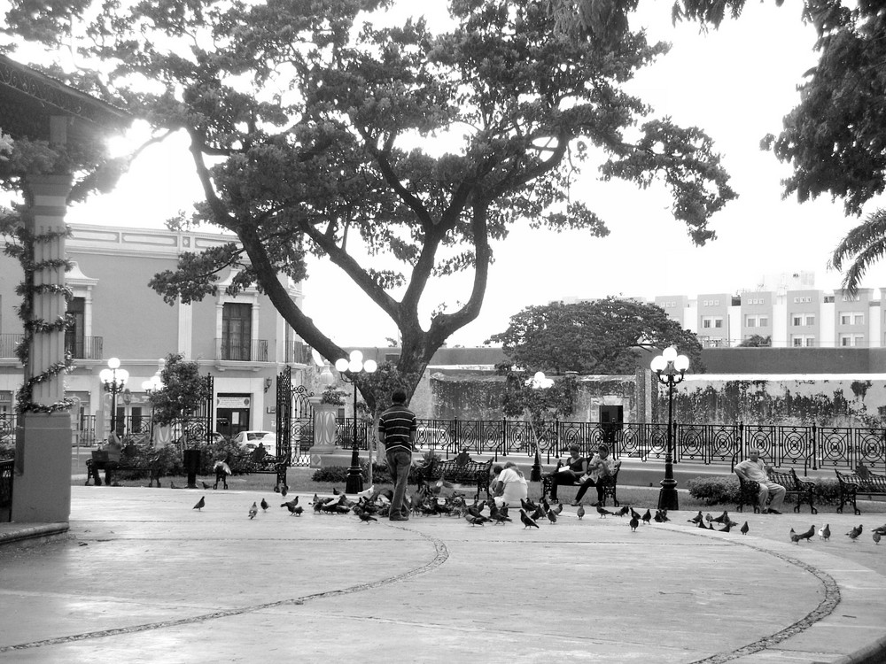 Jardin de Campeche