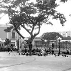 Jardin de Campeche