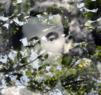 jardin de dior, granville