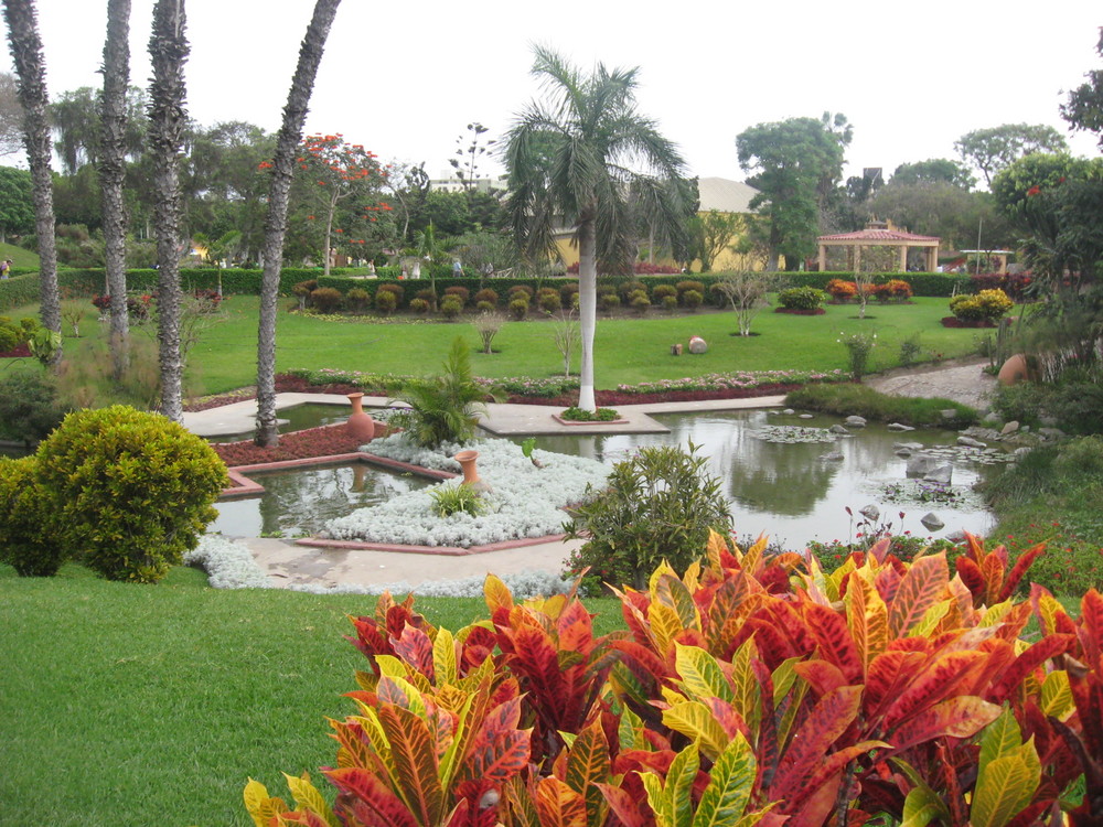 Jardin de espejos y colores