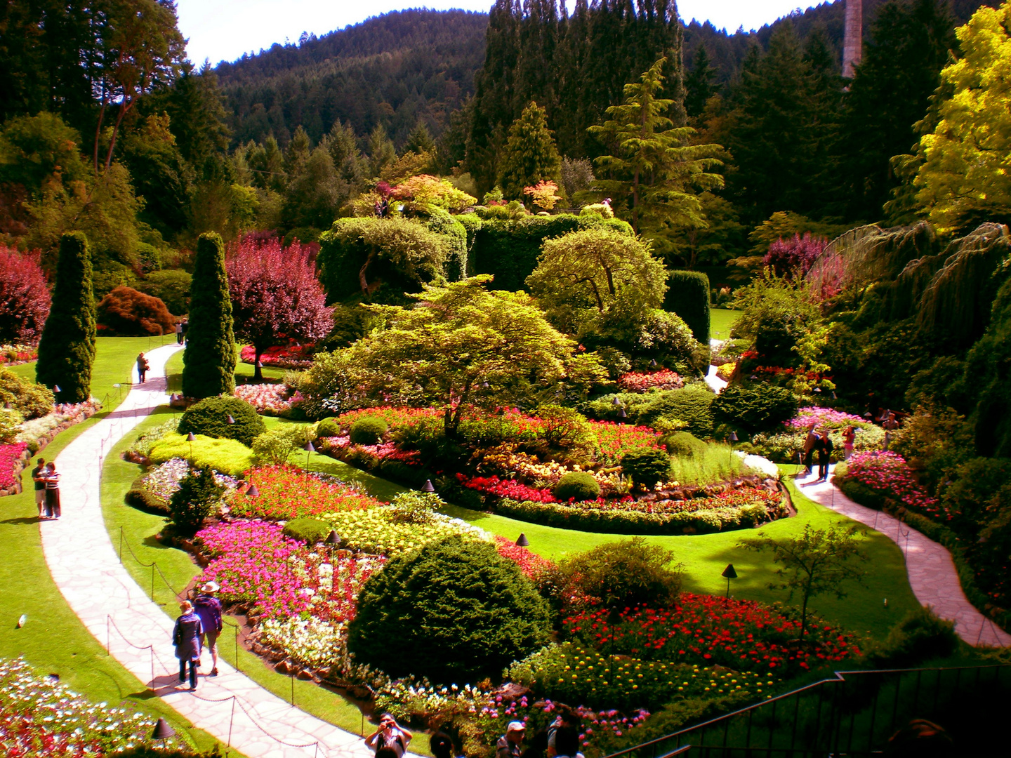 Jardin de Flores