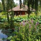 Jardin de Giroussens