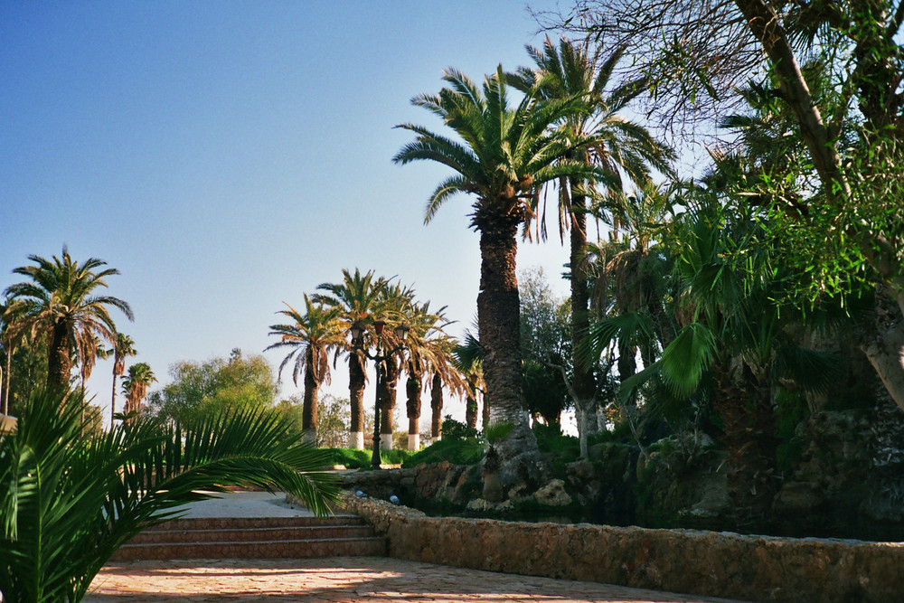 jardin de Hammam Bou Hadjar (algérie)