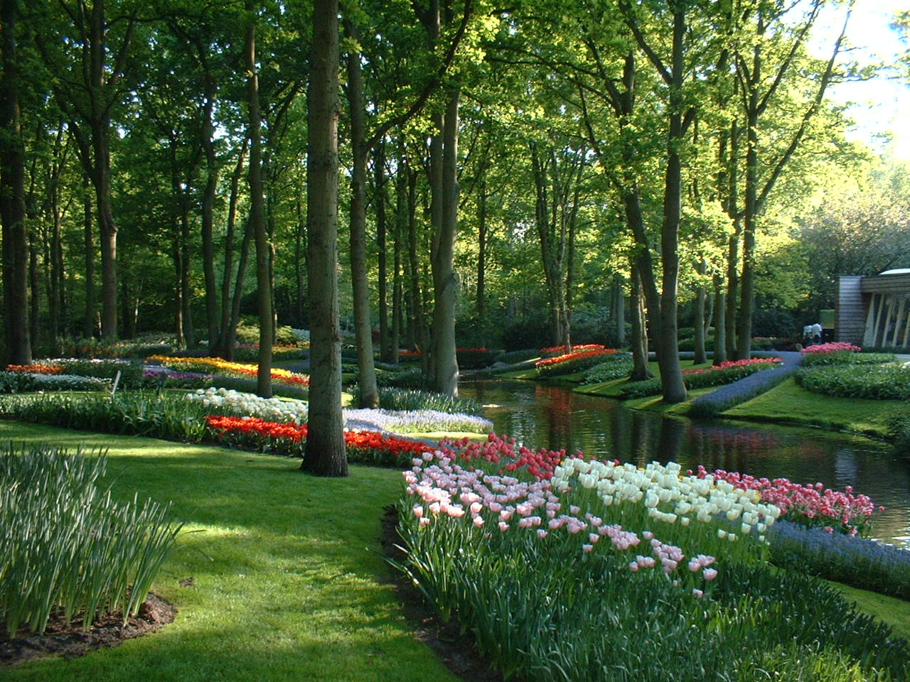 Jardin de Kinderjik - Hollande - 2008