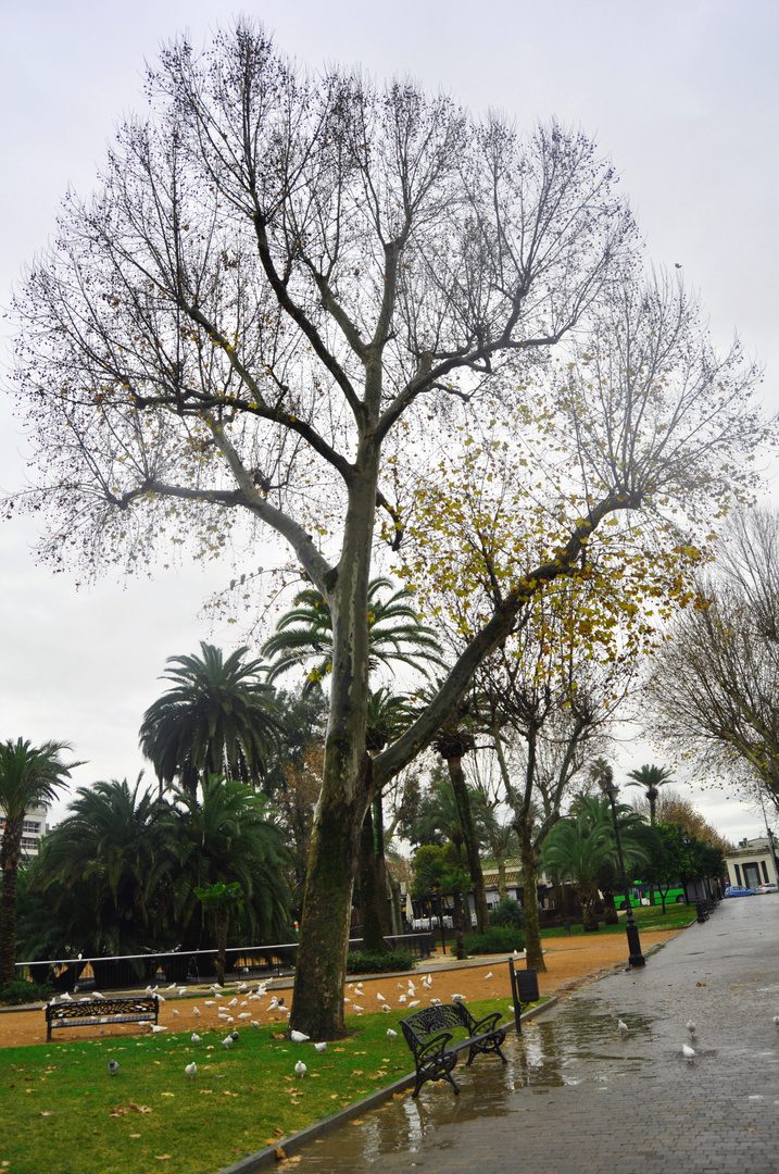 Jardín de la Agricultura