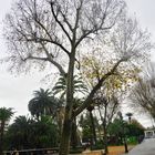 Jardín de la Agricultura