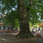 Jardin de la Brasserie Riegele  --  Augsburg  --  Riegele Biergarten