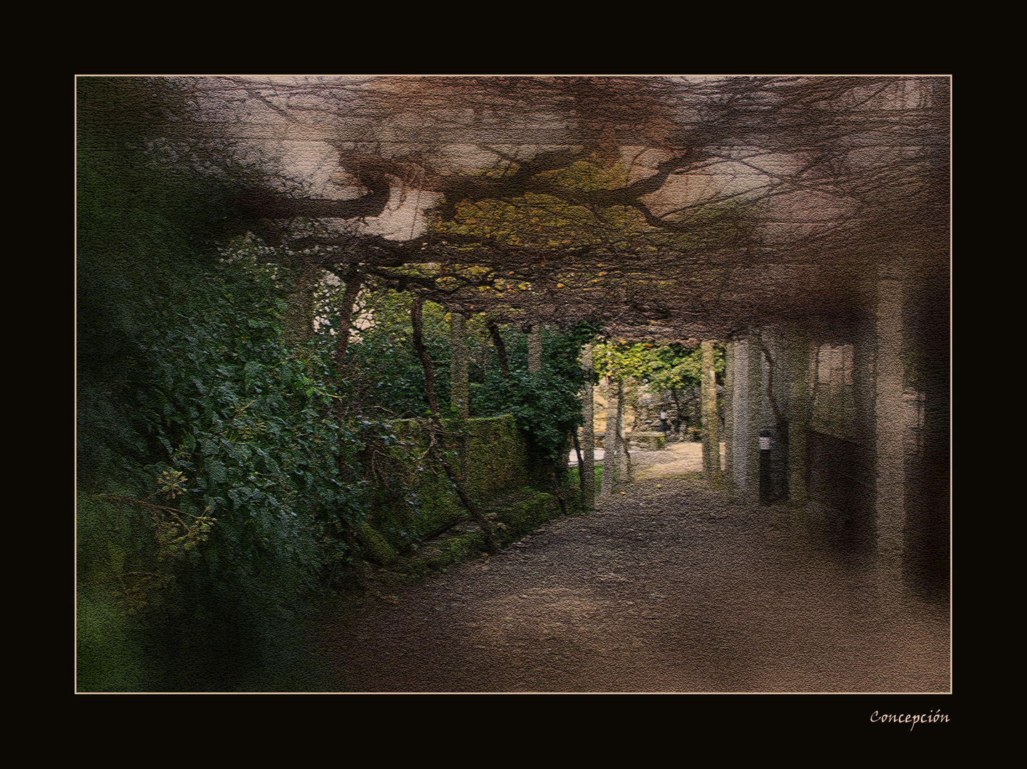 Jardín de la casa Rosalía de Castro