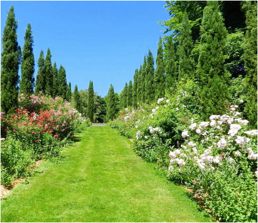 jardin de la foltière