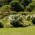 jardin de la foltière